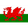 Wales U19