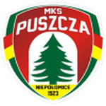 PUS