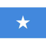 SOM